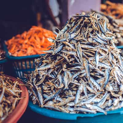 Dry Fish